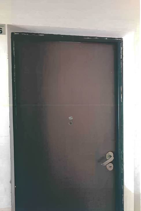 Photo 4