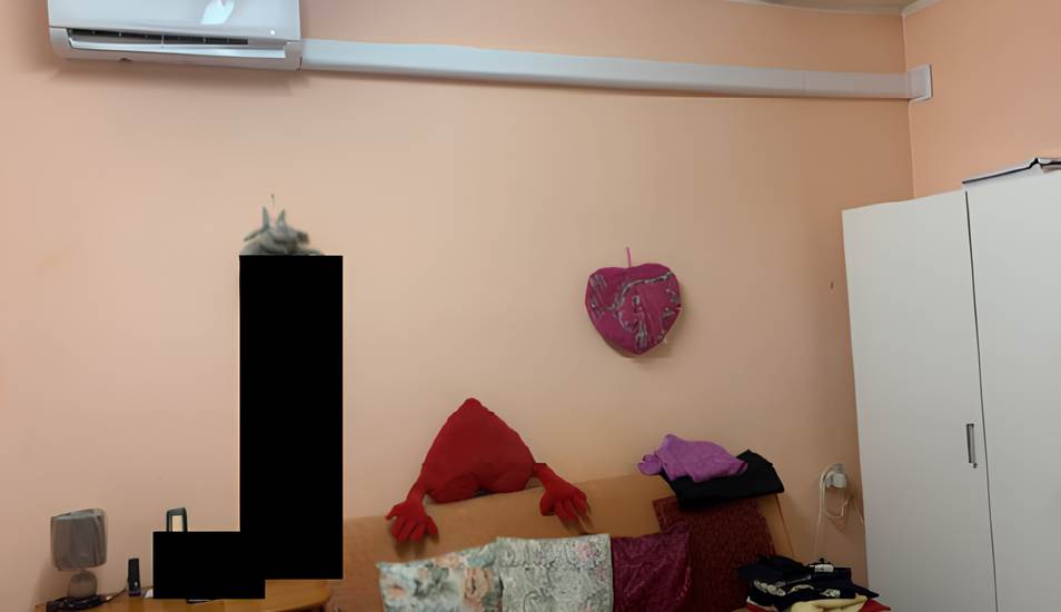 Photo 7