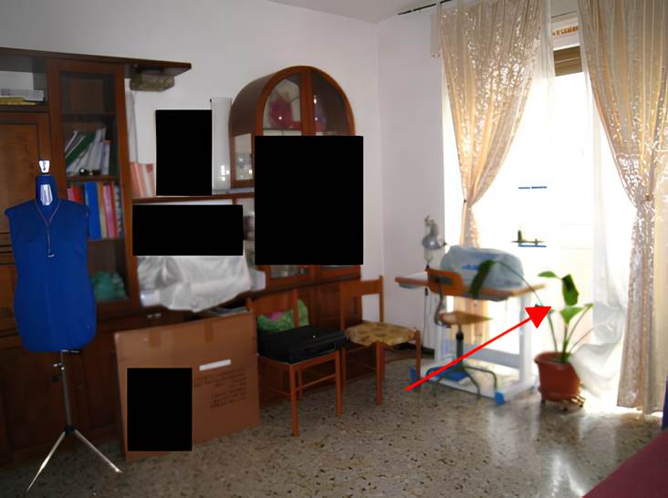 Photo 4
