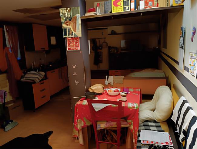 Photo 7