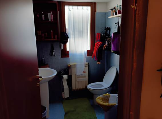 Photo 5